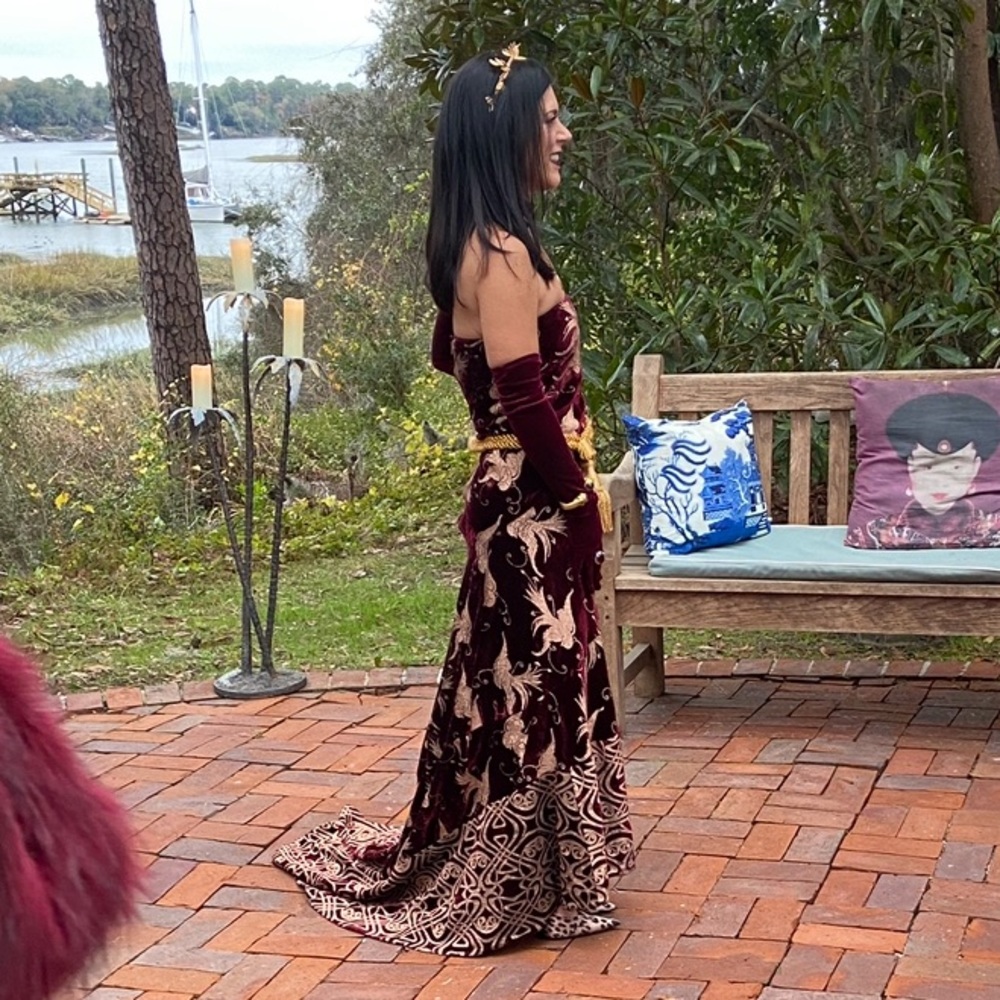 Roberto Cavalli Runway Strapless Velvet Evening Gown - Picture 7 of 16